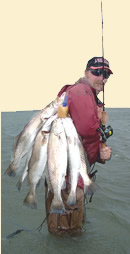 Rockport Fishing Charters, Redfish Fishing Charter, Texas Gulf Fishing Charter
